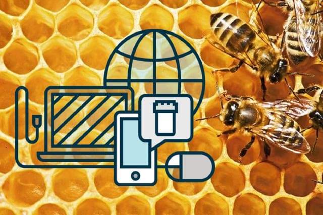 Imagem de um favo de mel com abelhas operárias ao fundo e desenhos de um notebook, conexão internet e celular no primeiro plano